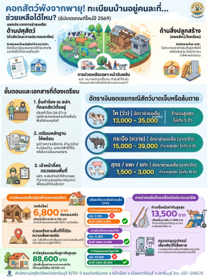 คอกสัตว์พังจากพายุ