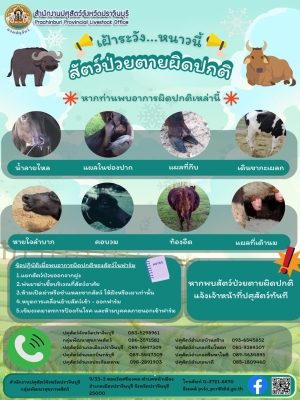 เฝ้าระวังหนาวนี้ สัตว์ป่วยตายผิดปกติ