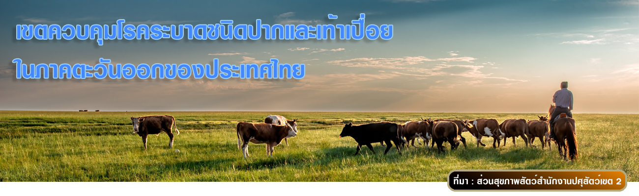 เขตควบคุมโรคระบาดชนิดปากและเท้าเปื่อยในภาคตะวันออกของประเทศไทย