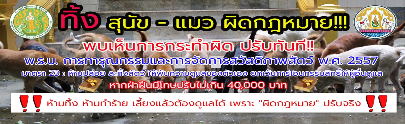 ทิ้ง สุนัข - แมว ผิดกฎหมาย!!!