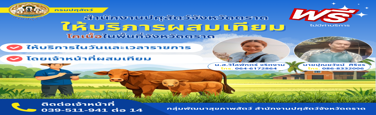 การให้บริการผสมเทียม โคเนื้อ ในพื้นที่จังหวัดตราด