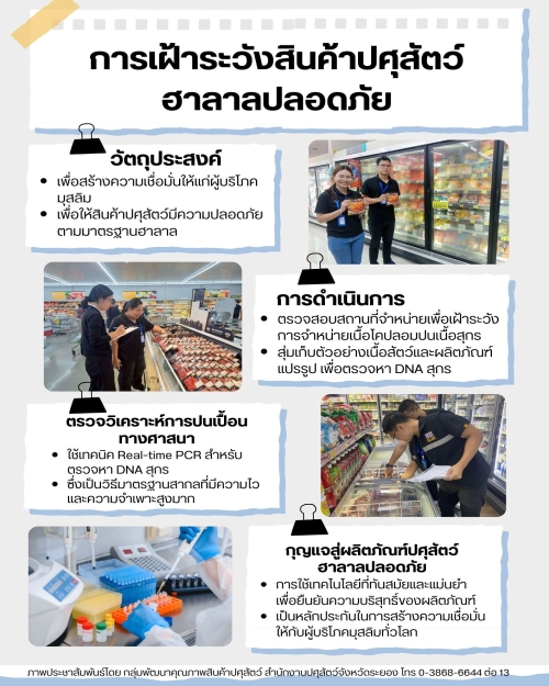 การเฝ้าระวังสินค้าปศุสัตว์ฮาลาลปลอดภัย