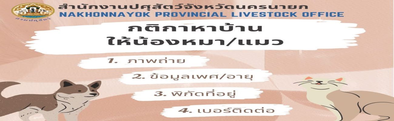 กติกาหาบ้านให้น้องหมาแมว