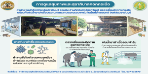 กันยายน 2569 infographic ประชาสัมพันธ์