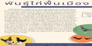 พันธุ์ไก่พื้นเมือง