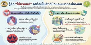 มีนาคม 2569 infographic ประชาสัมพันธ์