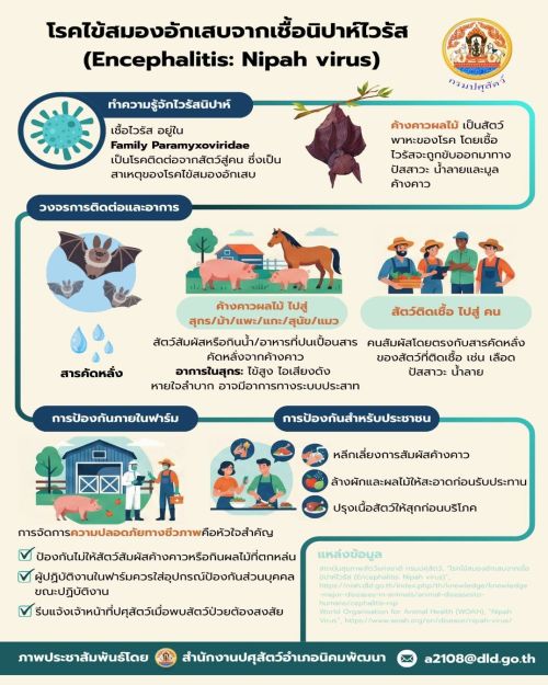 โรคไข้สมองอักเสบจากเชื้อนิปาห์ไวรัส (Encephalitis: Nipah virus)