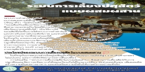 ระบบการเลี้ยงปศุสัตว์แบบผสมผสาน