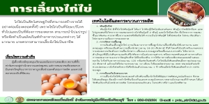 ทางเลือกอาชีพปศุสัตว์