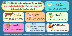 พฤศจิกายน 2568 ประชาสัมพันธ์ infographic 