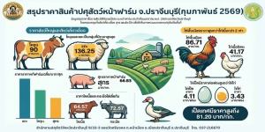 กุมภาพันธ์ 2569 infographic ประชาสัมพันธ์