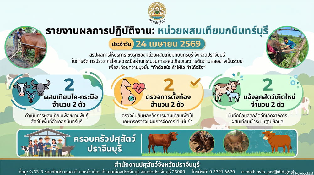 ผสมเทียม เม ย 2569 n