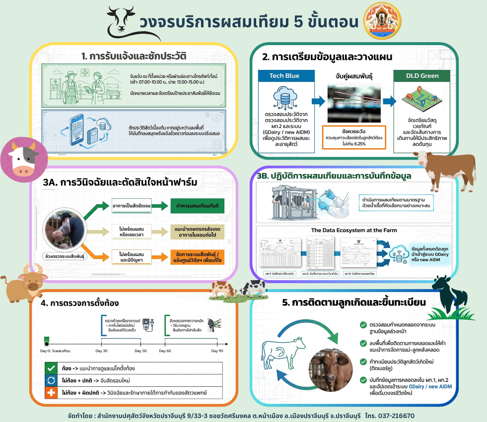 ผสมเทียม 052569 12