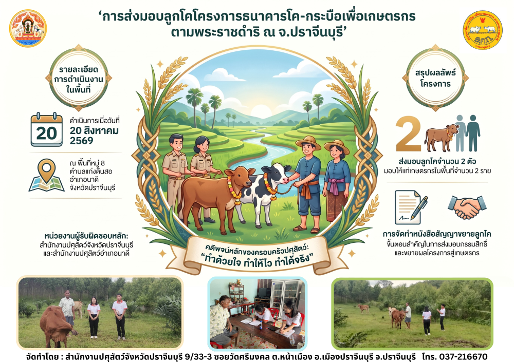 04 08 2569 info