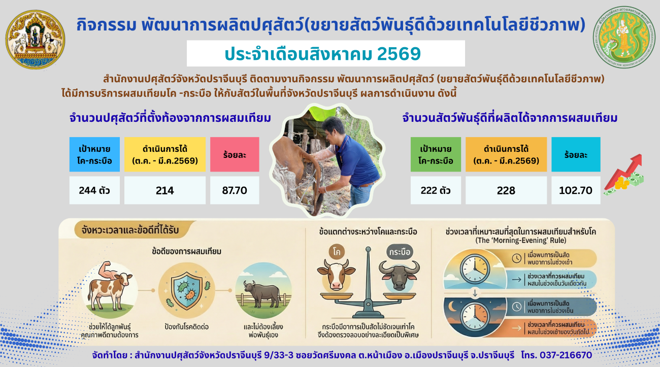 06 08 2569 info