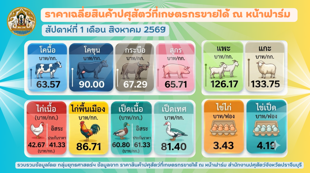 08 08 2569 info