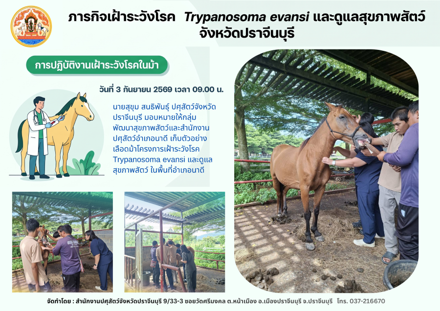 02 09 2569 info