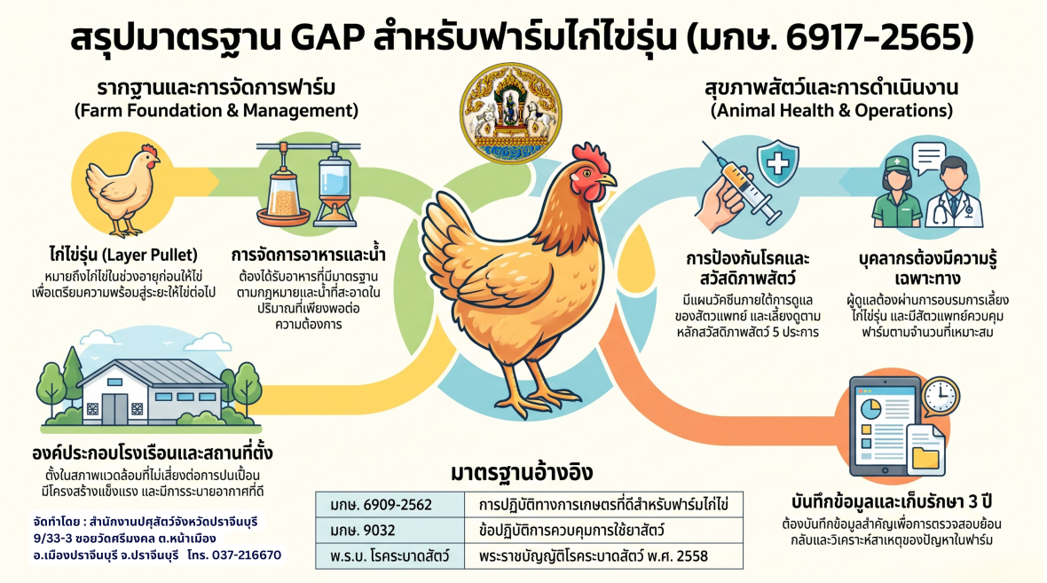 03 09 2569 info1