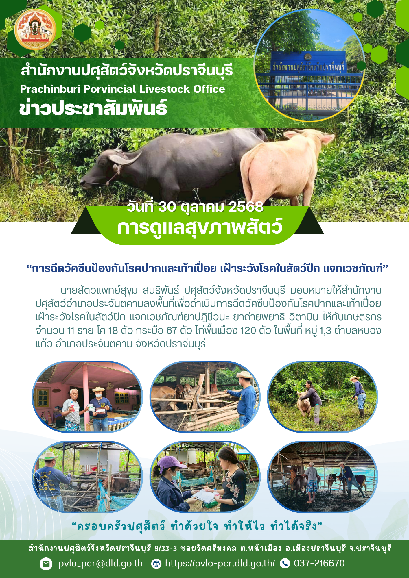 kar dulae sukhphaph satw 30 tkh 2568