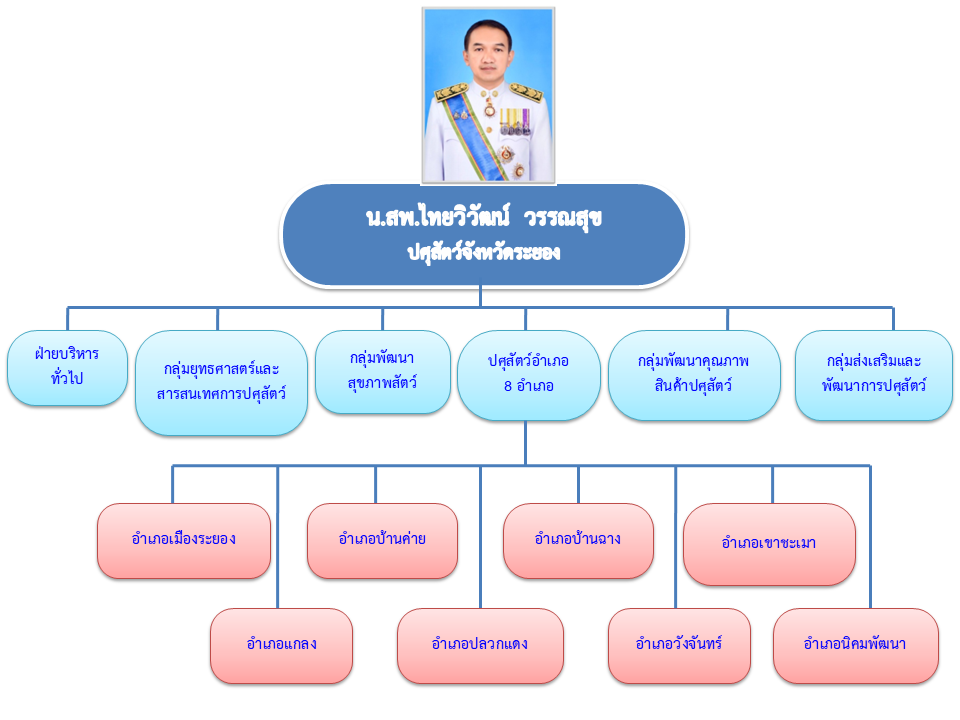 organization chart2568