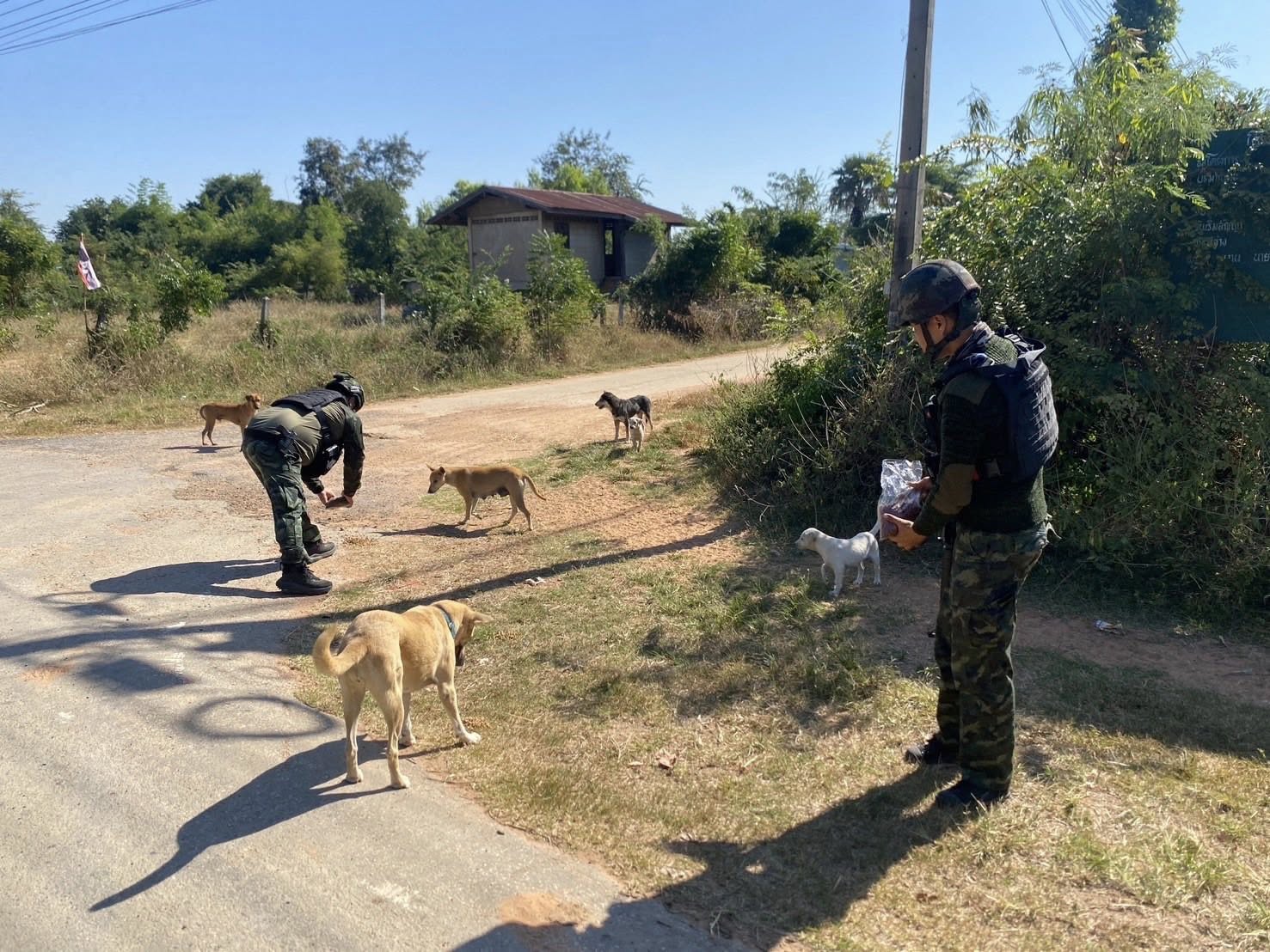 599954046 1312681414226367 982144288880629589 n