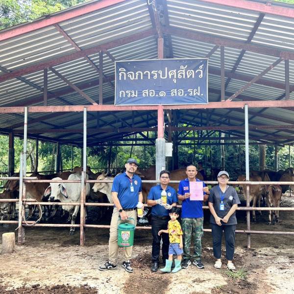 สนง.ปศอ.บ้านฉาง ดำเนินการฉีดวัคซีนป้องกันโรคปากและเท้าเปื่อย พร้อมมอบใบรับรองฟาร์มที่มีระบบป้องกันโรคและการเลี้ยงสัตว์ที่เหมาะสม(GFM) พื้นที่อำเภอบ้านฉาง