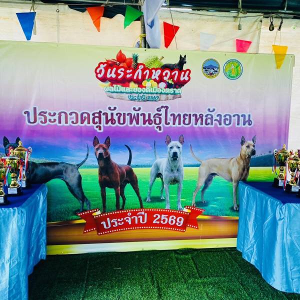 จังหวัดตราด  จัดกิจกรรมการประกวดสุนัขพันธุ์ไทยหลังอาน ในงาน “วันระกำหวาน ผลไม้และของดีเมืองตราด” ประจำปี 2569