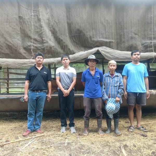 โครงการเฝ้าระวังและทดสอบโรคบรูเซลลาในฟาร์มโคเนื้อที่มีระบบป้องกันโรคและการเลี้ยงที่เหมาะสม(GFM)