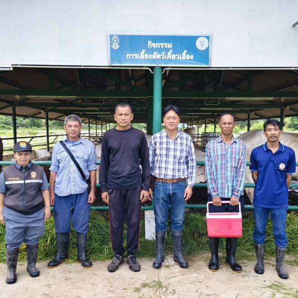 สำนักงานปศุสัตว์จังหวัดนครนายก  ดำเนินโครงการรณรงค์ฉีดวัคซีนป้องกันโรคปากและเท้าเปื่อย โรคเฮโมรายิกเซพติซีเมีย 