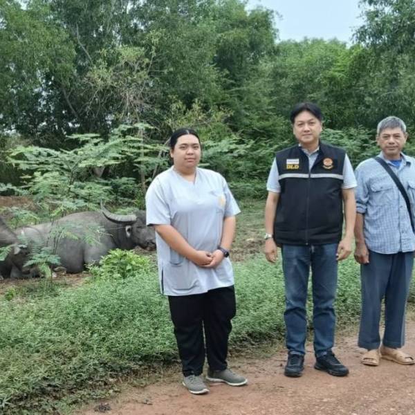 สำนักงานปศุสัตว์จังหวัดนครนายก ตรวจสอบข้อมูลทะเบียนสัตว์โครงการธนาคารโค-กระบือ เพื่อเกษตรกรตามพระราชดำริ 