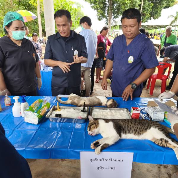 ปศุสัตว์จันทบุรี บูรณาการงาน คลินิกเกษตรเคลื่อนที่ฯ ทต.ช้างข้าม มอบเวชภัณฑ์ บริการทำหมัน-ฉีดวัคซีนฟรี ชูโครงการ “ปศุสัตว์ OK” หนุนบริโภคไข่สดปลอดภัย