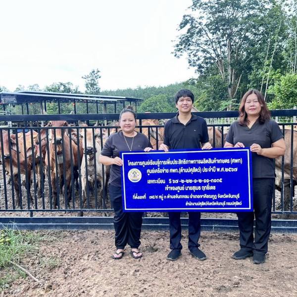 ปศุสัตว์เขาคิชฌกูฏ ลงพื้นที่ ศพก. เครือข่ายด้านปศุสัตว์ (รายใหม่) ม.7 ต.จันทเขลม ส่งมอบป้ายศูนย์เรียนรู้ฯ พร้อมแนะเคล็ดลับการเลี้ยงโคและการดูแลสัตว์ช่วงอากาศเปลี่ยน