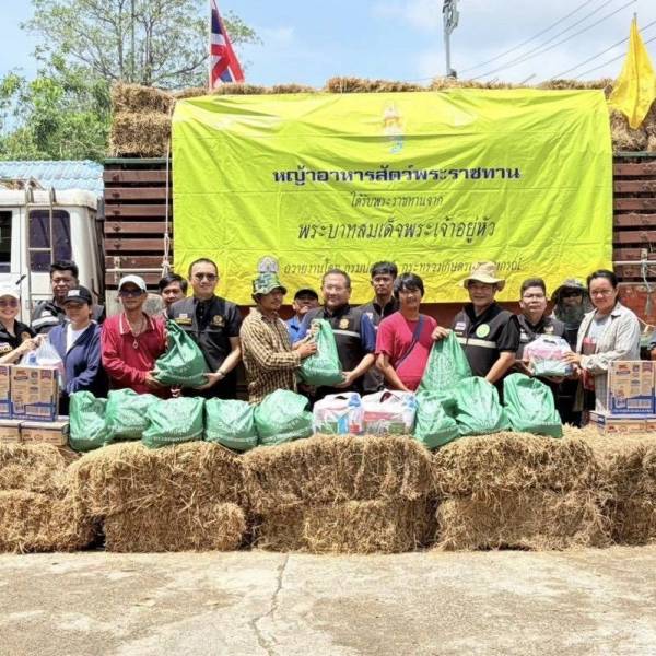 กรมปศุสัตว์ มอบหญ้าแห้งพระราชทานเพื่อให้ความช่วยเหลือเกษตรกรผู้ประสบอุทกภัยในพื้นที่อำเภอเมืองระยอง และอำเภอปลวกแดง จังหวัดระยอง