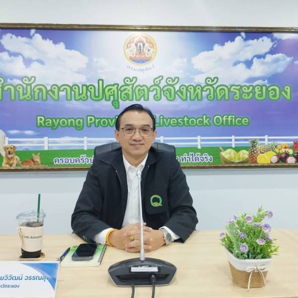 การฝึกอบรม หลักสูตร 