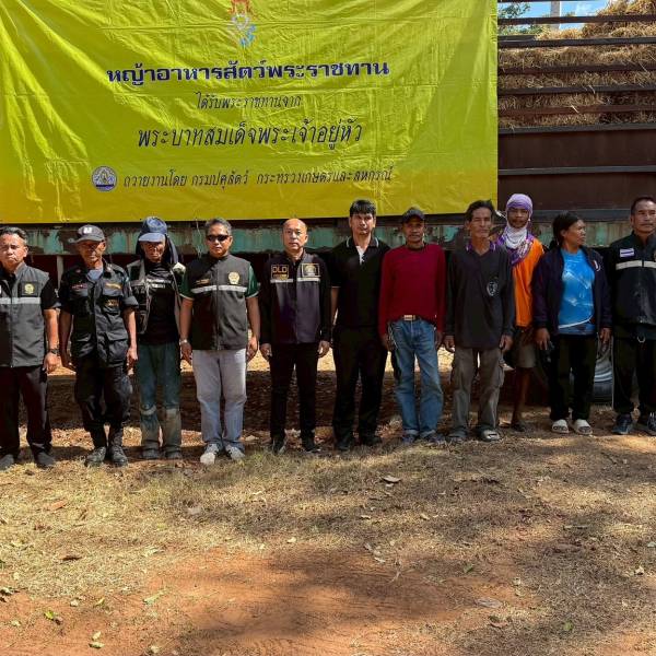 วันที่ 23 ธันวาคม 2568 ปศุสัตว์ เร่งช่วยเหลือ ส่งหญ้าแห้งอัดฟ่อนแก่เกษตรกรผู้เลี้ยงโค–กระบือที่ได้รับผลกระทบจากสถานการณ์ชายแดนไทย–กัมพูชา จังหวัดสระแก้ว 