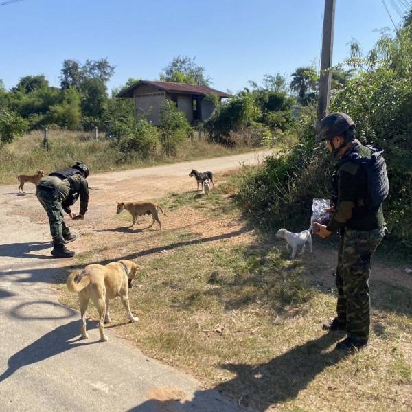 วันที่ 20 ธันวาคม 2568 ปศุสัตว์จังหวัดสระแก้ว ส่งมอบเสบียงอาหารสัตว์ช่วยเหลือเกษตรกรที่ได้รับผลกระทบจากสถานการณ์ความไม่สงบตามแนวชายแดนไทย–กัมพูชา