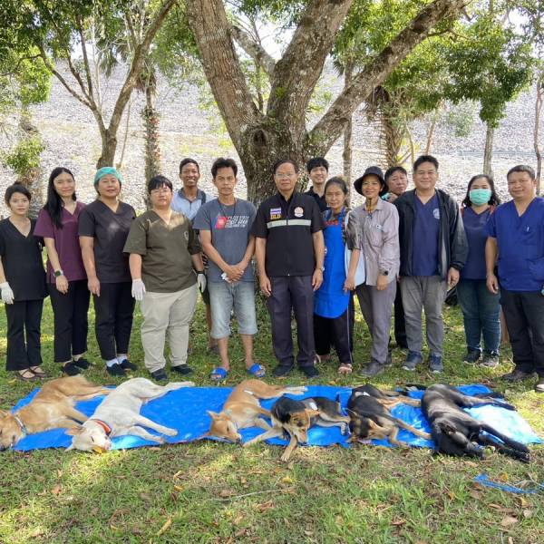 ปศุสัตว์จันทบุรีบูรณาการเทศบาลตำบลพลวง ควบคุมประชากรสุนัขจรจัดและฉีดวัคซีนป้องกันโรคพิษสุนัขบ้า