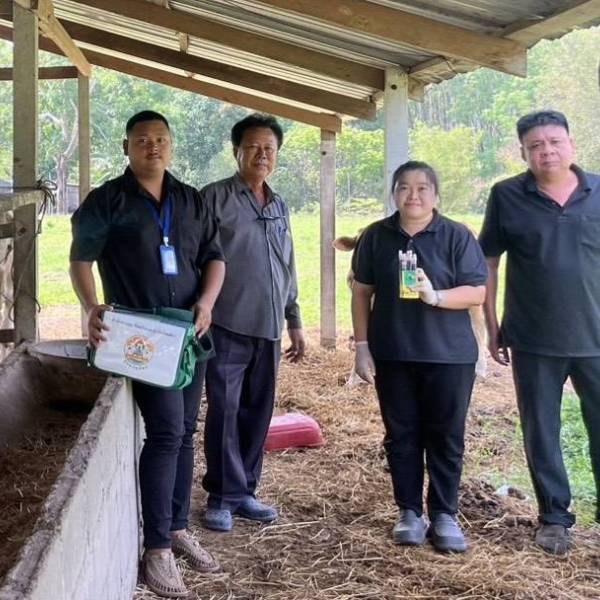 สนง.ปศุสัตว์ อ.เขาชะเมา ลงพื้นที่เก็บตัวอย่างกิจกรรมสำรวจความชุกและตรวจสอบระดับภูมิคุ้มกันโรคปากและเท้าเปื่อยในโค กระบือ แพะ แกะ ในพื้นที่ภาคตะวันออกของประเทศไทย ประจำปี 2569 พื้นที่อำเภอเขาชะเมา