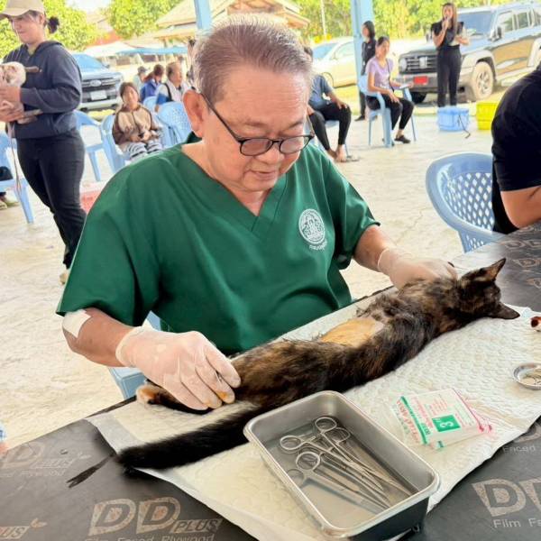 ปศุสัตว์จันทบุรีร่วมกับเทศบาลตำบลมะขามเมืองใหม่ ปฏิบัติงานควบคุมประชากรสัตว์สุนัขและแมว