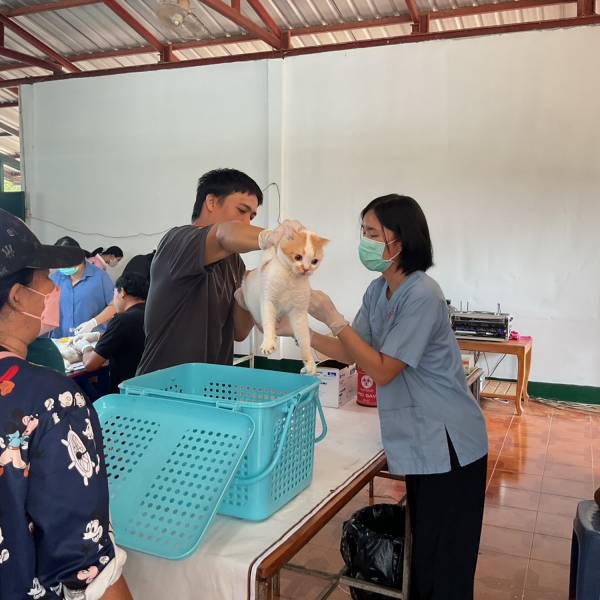 ปศอ.สอยดาว ร่วมกับอบต.ทุ่งขนาน ทำหมันสุนัข-แมวโครงการ ควบคุมประชากรสัตว์