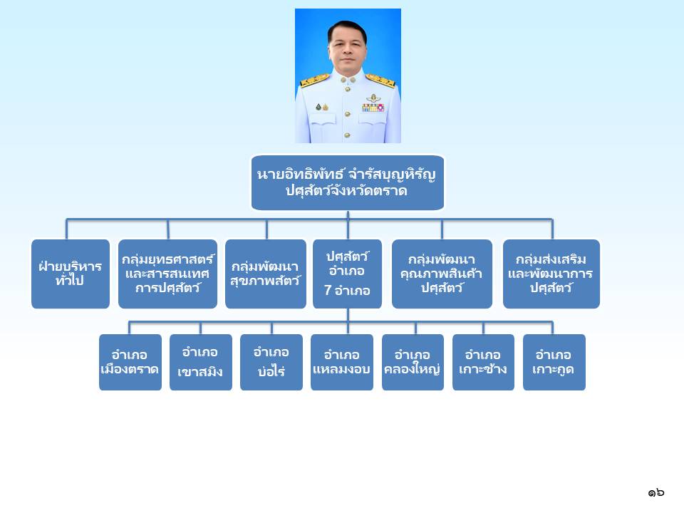 organizational 69 27 3 69